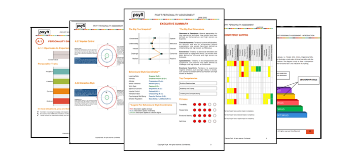 individual report